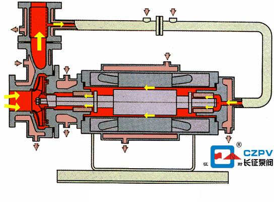 熱水循環泵工作原理動圖